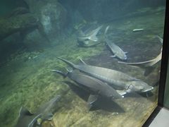 -福州罗源湾海洋世界旅游区