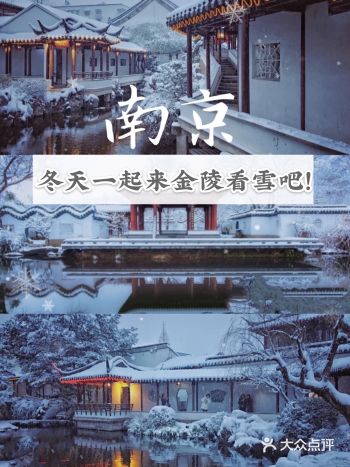 南京赏雪指南！️冬天一起来金陵城看雪吧！