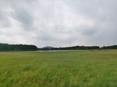 -御道口草原森林风景区