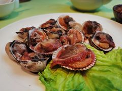 醉毛蚶-高佳庄·舟山海鲜(海景旗舰店)