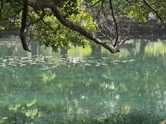-荔香公园