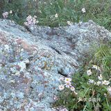 北京西郊白草畔☁️一不小心就步入云中仙境