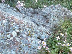 -白草畔自然风景区