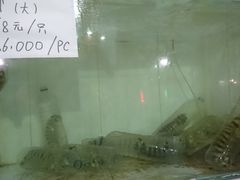 -海盗餐厅
