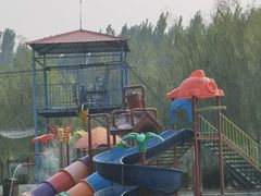 -东方巨龟苑景区