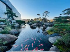 -罗红摄影艺术馆