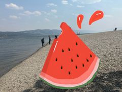 -阳宗海湿地
