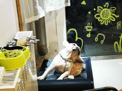 -平行世界·猫咖(首经贸店)
