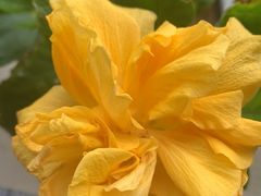 -汤品小厨·海鲜·烧烤·家常菜