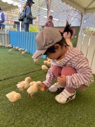 -萌宠亲子动物乐园(槐房万达店)