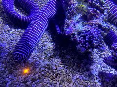 -哈尔滨波塞冬海底世界