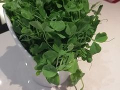 -浩爷羊蝎子火锅(望京店)