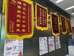 -中农国际动物医院24小时·猫科·骨科·急重症中心