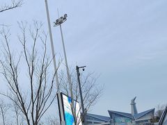 -盐城丹顶鹤湿地生态旅游区