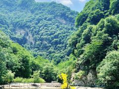 -少华山国家森林公园