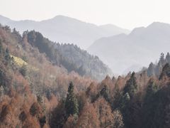 -山王坪喀斯特国家生态公园