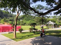 -火炉山森林公园