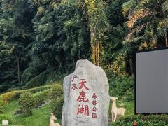 -天鹿湖森林公园
