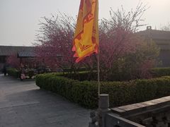 -大槐树寻根祭祖园
