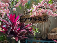 -啰啰冰屋(景洪总店)