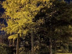 -碧中海汤泉汗蒸酒店