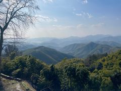 -莫干山风景区