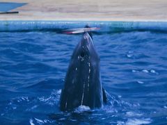 -福州罗源湾海洋世界旅游区