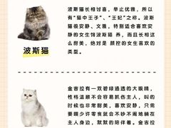 -爱侣宠医·鹦鹉专科·小型哺乳类·异宠专科(灵石路店)