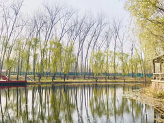 -微山湖红荷湿地景区