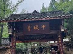 -青城甲(青城山店)