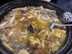 -草墩罗非鱼庄•野生菌•腊排骨(七星街上段店)