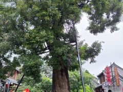 -青州古城