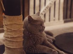 -小时光咖啡馆(北锣鼓巷店)