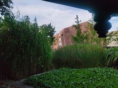 -活水公园