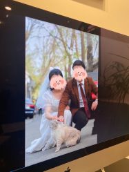 点击看大图 -绽放摄胶片摄影工作室