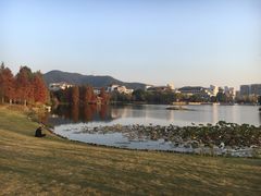 -浙江农林大学(东湖校区)
