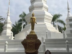 -西双版纳傣族园