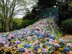 -上海共青森林公园