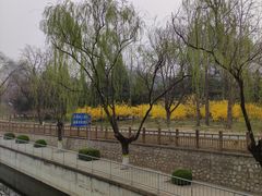 -元大都城垣遗址公园