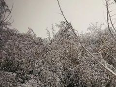 -沣峪口