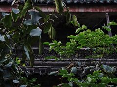 -大学习巷清真寺