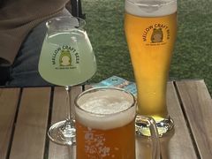 -麦落精酿啤酒餐吧(先农大院店)