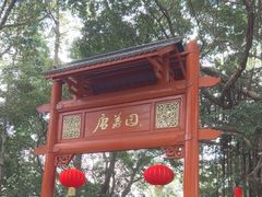 -侨美·唐荔园·40年地道粤菜