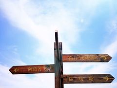 -春花秋色城市公园