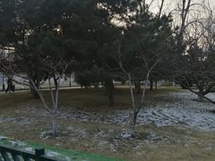 -元大都城垣遗址公园