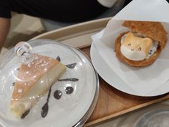 -逗柴咖啡屋·狗咖猫咖宠物桌游