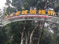 -亚龙湾热带天堂森林公园