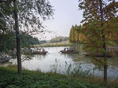 -溱湖国家湿地公园