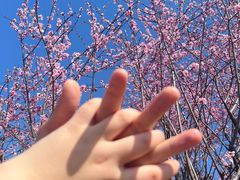 -上海杨姆庄园