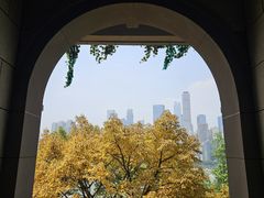 -甘婆婆醪糟汤圆